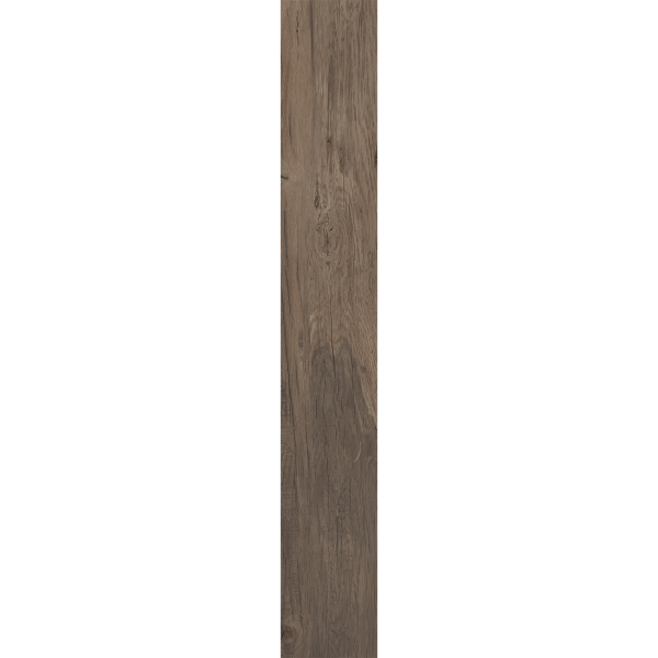 Boardwalk - Image 7