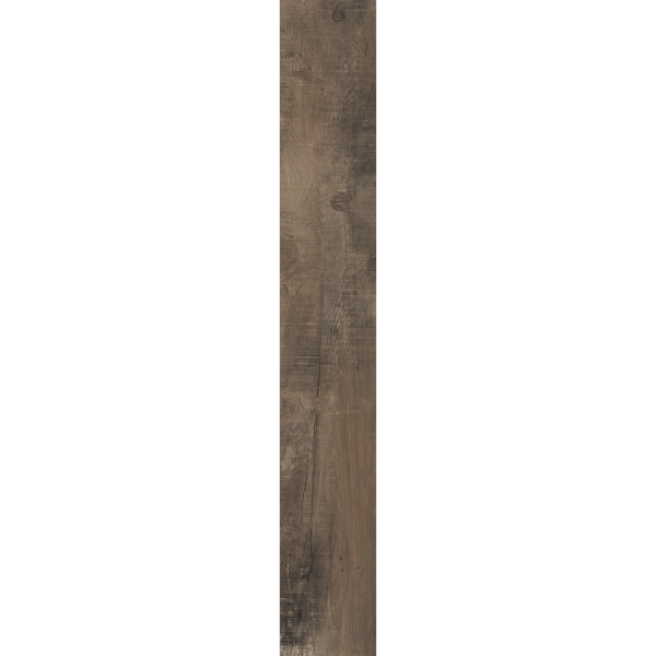 Boardwalk - Image 5
