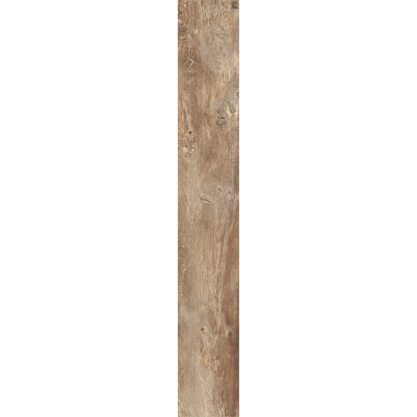 Boardwalk - Image 8
