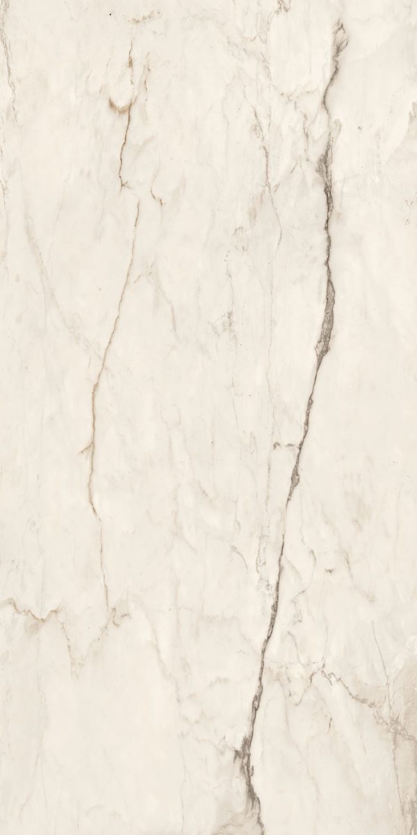 Jurassic - Image 17