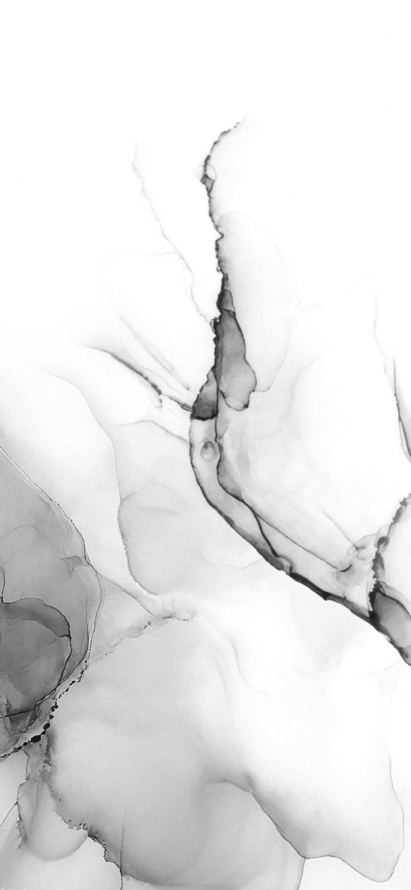Chiffon - Image 2